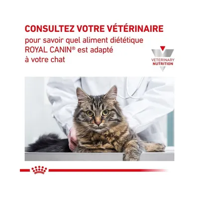 Royal Canin - Croquettes Chat - Soutien Rénal Royal Canin - Croquettes Chat - Soutien Rénal
