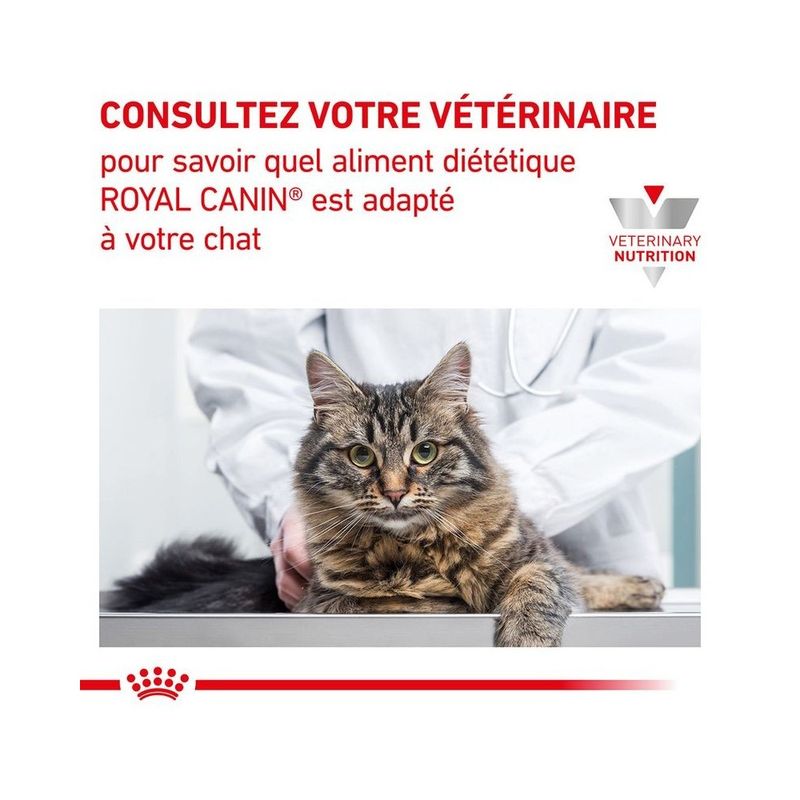Royal Canin - Croquettes Chat - Soutien Rénal