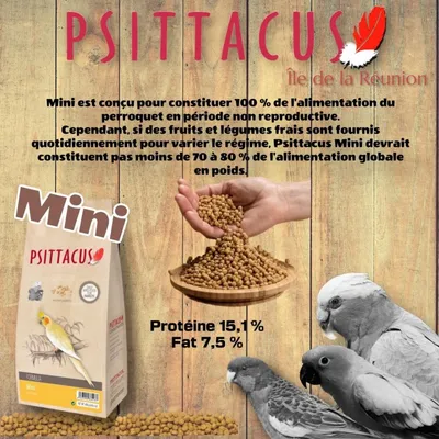 Psittacus - Nourriture oiseaux - Mini - Psittacus