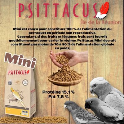 Psittacus - Nourriture oiseaux - Mini - Psittacus