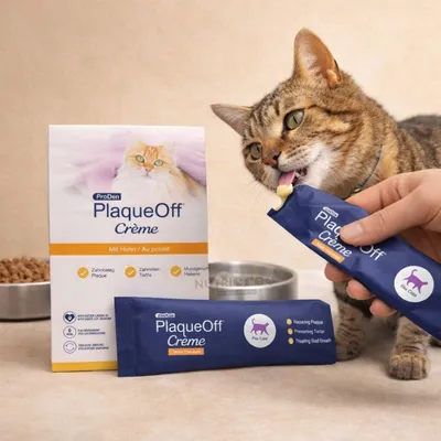 PlaqueOff Crème Chat Anti-tartre Poulet
