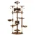 Prolenta Premium - Scratching Post Junction City Prolenta Premium - Scratching Post Junction City