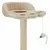 Prolenta Premium - Scratching Post Runi Prolenta Premium - Scratching Post Runi