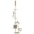 Prolenta Premium - Scratching Post Mora