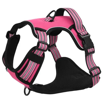 Prolenta Premium - Harnais pour chien Haris Prolenta Premium - Harnais pour chien Haris