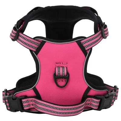 Prolenta Premium - Harnais pour chien Haris