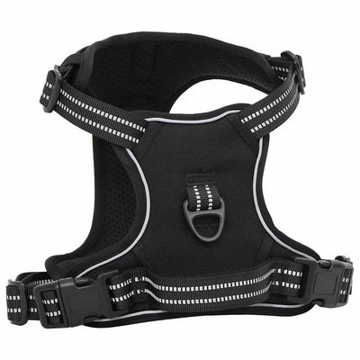 Prolenta Premium - Hundegeschirr Haris