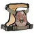 Prolenta Premium - Harnais pour chien Haris Prolenta Premium - Harnais pour chien Haris