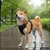 Prolenta Premium - Harnais pour chien Haris Prolenta Premium - Harnais pour chien Haris