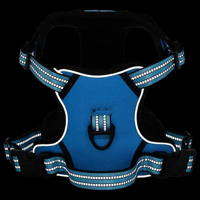 Prolenta Premium - Harnais pour chien Haris Prolenta Premium - Harnais pour chien Haris