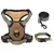 Prolenta Premium - Harnais pour chien Lorens
