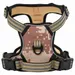 Prolenta Premium - Hundegeschirr Lorens