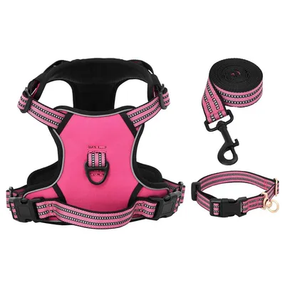 Prolenta Premium - Harnais pour chien Lorens Prolenta Premium - Harnais pour chien Lorens