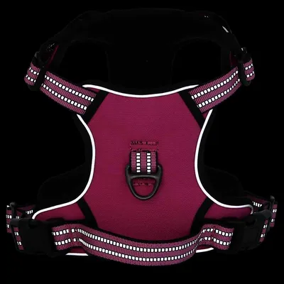 Prolenta Premium - Harnais pour chien Lorens Prolenta Premium - Harnais pour chien Lorens