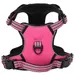 Prolenta Premium - Hundegeschirr Lorens