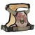 Prolenta Premium - Harnais pour chien Lorens Prolenta Premium - Harnais pour chien Lorens