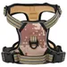 Prolenta Premium - Hundegeschirr Lorens