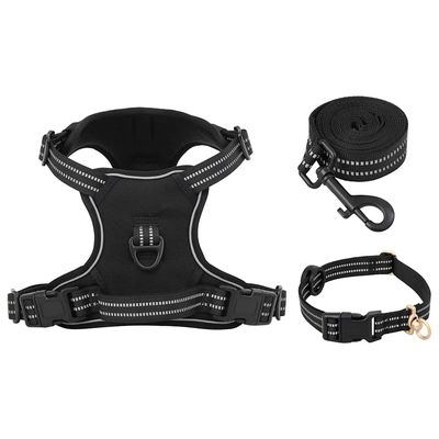 Prolenta Premium - Hundegeschirr Lorens