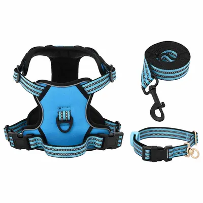 Prolenta Premium - Harnais pour chien Lorens Prolenta Premium - Harnais pour chien Lorens