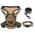 Prolenta Premium - Harnais pour chien Lorens