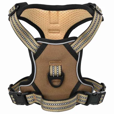 Prolenta Premium - Harnais pour chien Lorens