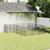 Prolenta Premium - Kennel Valeria Luz