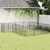 Prolenta Premium - Kennel Valeria Luz