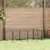 Prolenta Premium - Kennel Thieu