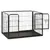 Prolenta Premium - Kennel