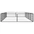 Prolenta Premium - Kennel Jimena