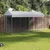Prolenta Premium - Kennel Keriman