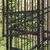 Prolenta Premium - Kennel Shylira