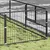 Prolenta Premium - Kennel Zepp