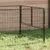 Prolenta Premium - Kennel Thieu