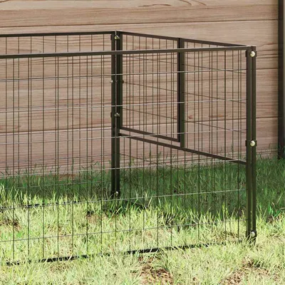 Prolenta Premium - Kennel Thieu