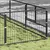 Prolenta Premium - Kennel Zepp