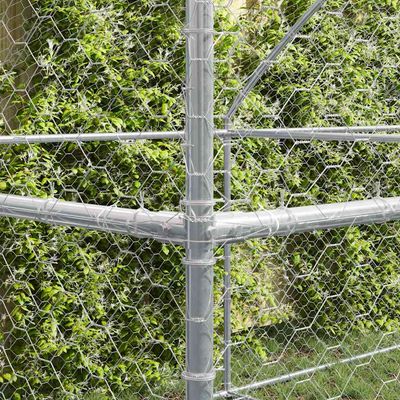 Prolenta Premium - Kennel