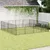 Prolenta Premium - Kennel Gunnlaug