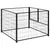 Prolenta Premium - Kennel Thieu Prolenta Premium - Kennel Thieu