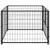 Prolenta Premium - Kennel Thieu Prolenta Premium - Kennel Thieu