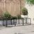 Prolenta Premium - Kennel Baldwin Park