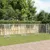 Prolenta Premium - Kennel Goedereede