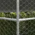 Prolenta Premium - Kennel