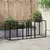 Prolenta Premium - Kennel Baldwin Park