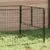 Prolenta Premium - Kennel Thieu