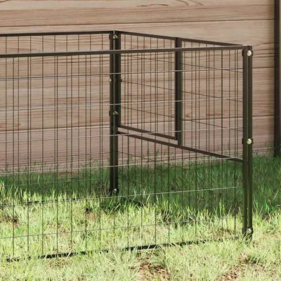 Prolenta Premium - Kennel Thieu