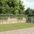Prolenta Premium - Kennel Goedereede