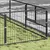 Prolenta Premium - Kennel Zepp