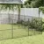 Prolenta Premium - Kennel Valeria Luz Prolenta Premium - Kennel Valeria Luz