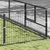 Prolenta Premium - Kennel Zepp Prolenta Premium - Kennel Zepp